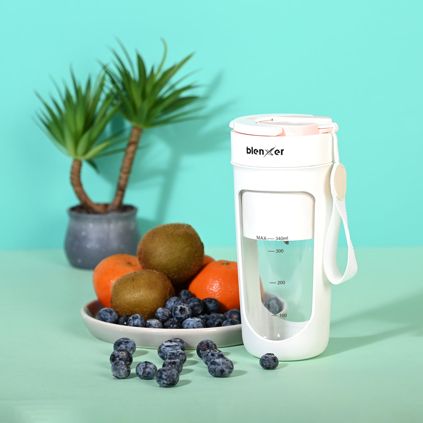 Blenxer Portable Blender 340 ml